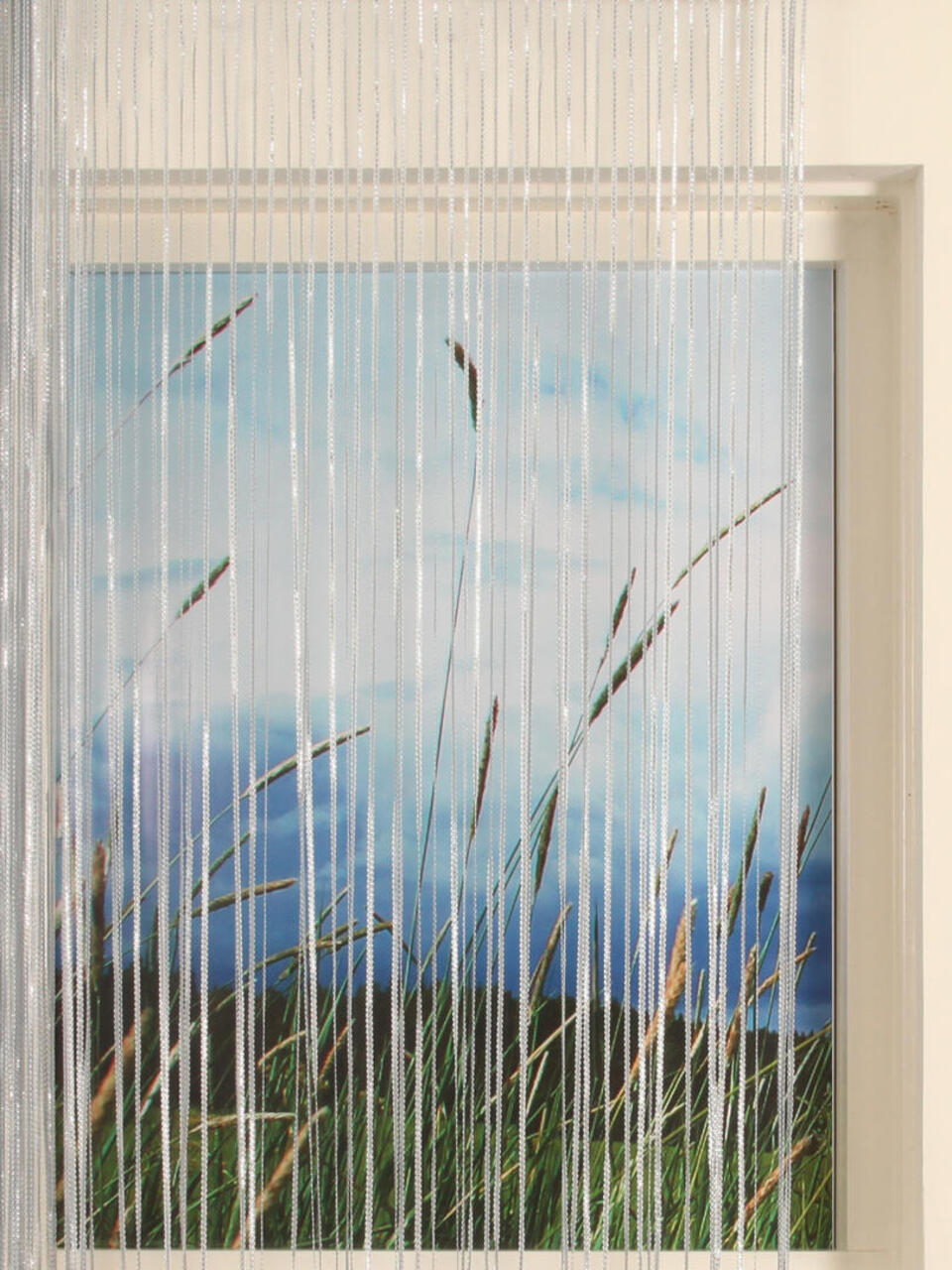 Zilveren koordgordijn met een afmeting van 90x 250 cm